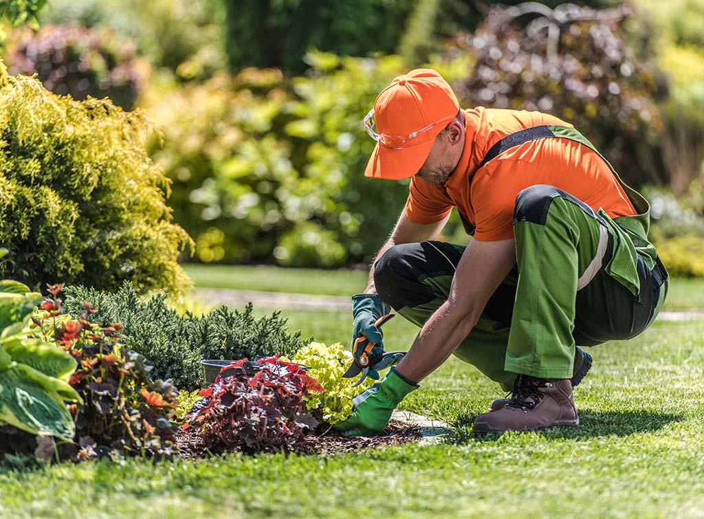 Certified Ekasi Gardening Specialist