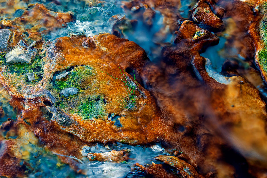 Certified Ekasi Minerals Leacher